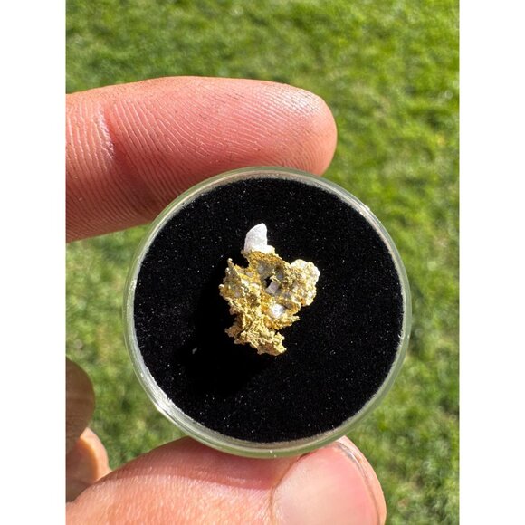 California Native Gold on Quartz Crystal - 0.76 grams - Picture 2 of 7